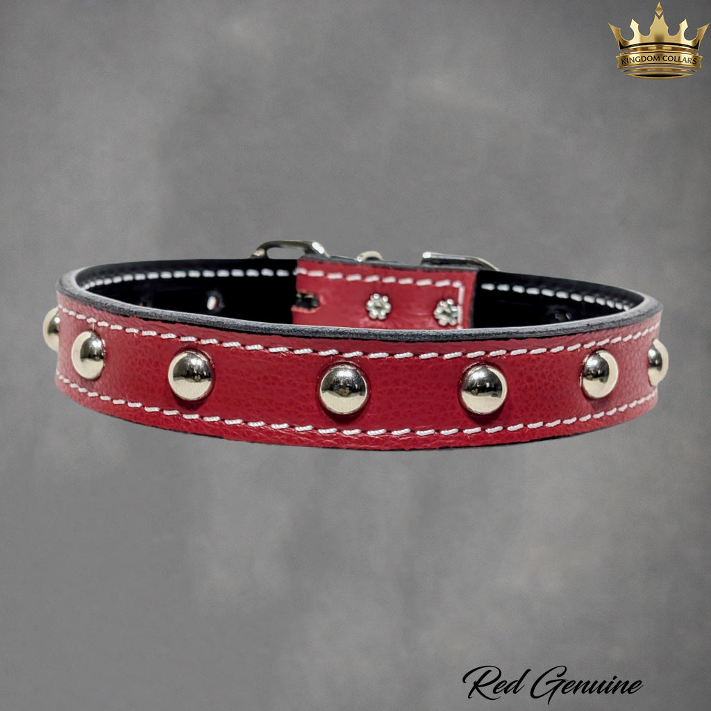 1" Wide Personalized Italian Leather Studded Dog Collar | Engraved Name Plate