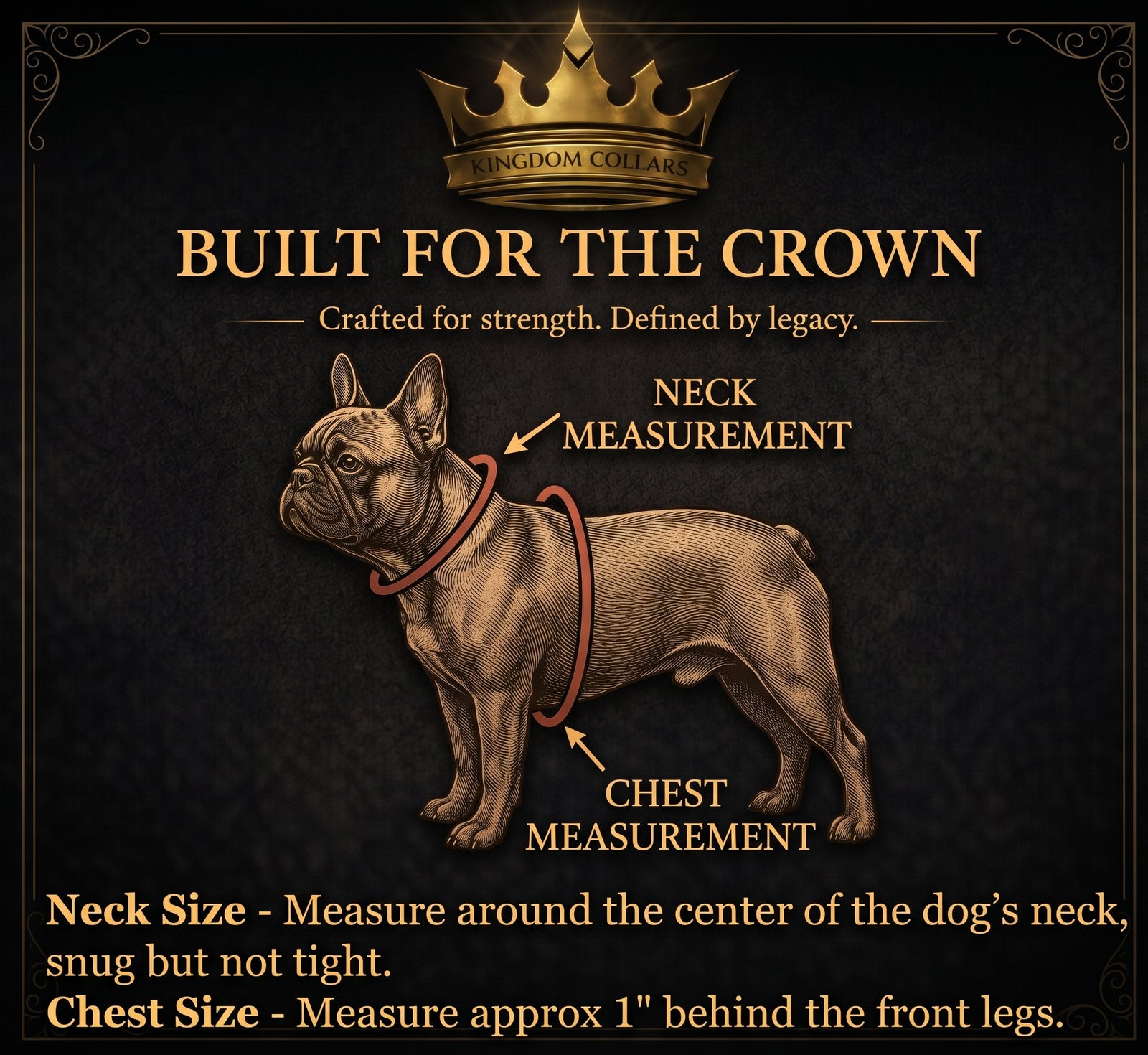 An informational graphic for the Kingdom Collars Dog Neck Measure tool, featuring a French Bulldog illustration on a dark textured background. The graphic includes a gold crown logo, the text 'BUILT FOR THE CROWN', and clear instructions with arrows indicating how to measure the neck and chest of the dog.