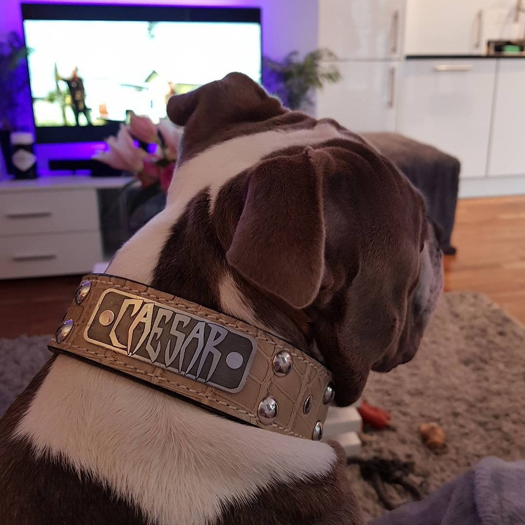 N12 - Coleira de cachorro de couro cravejada com placa de nome personalizada de 2"