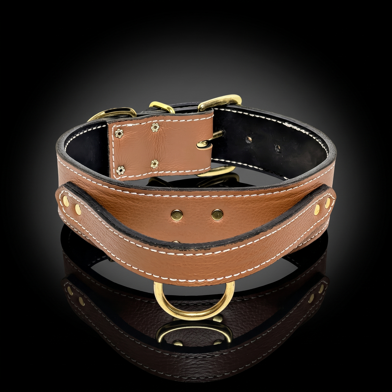 2" Wide Leather Agitation Dog Collar with Handle (AGT1)