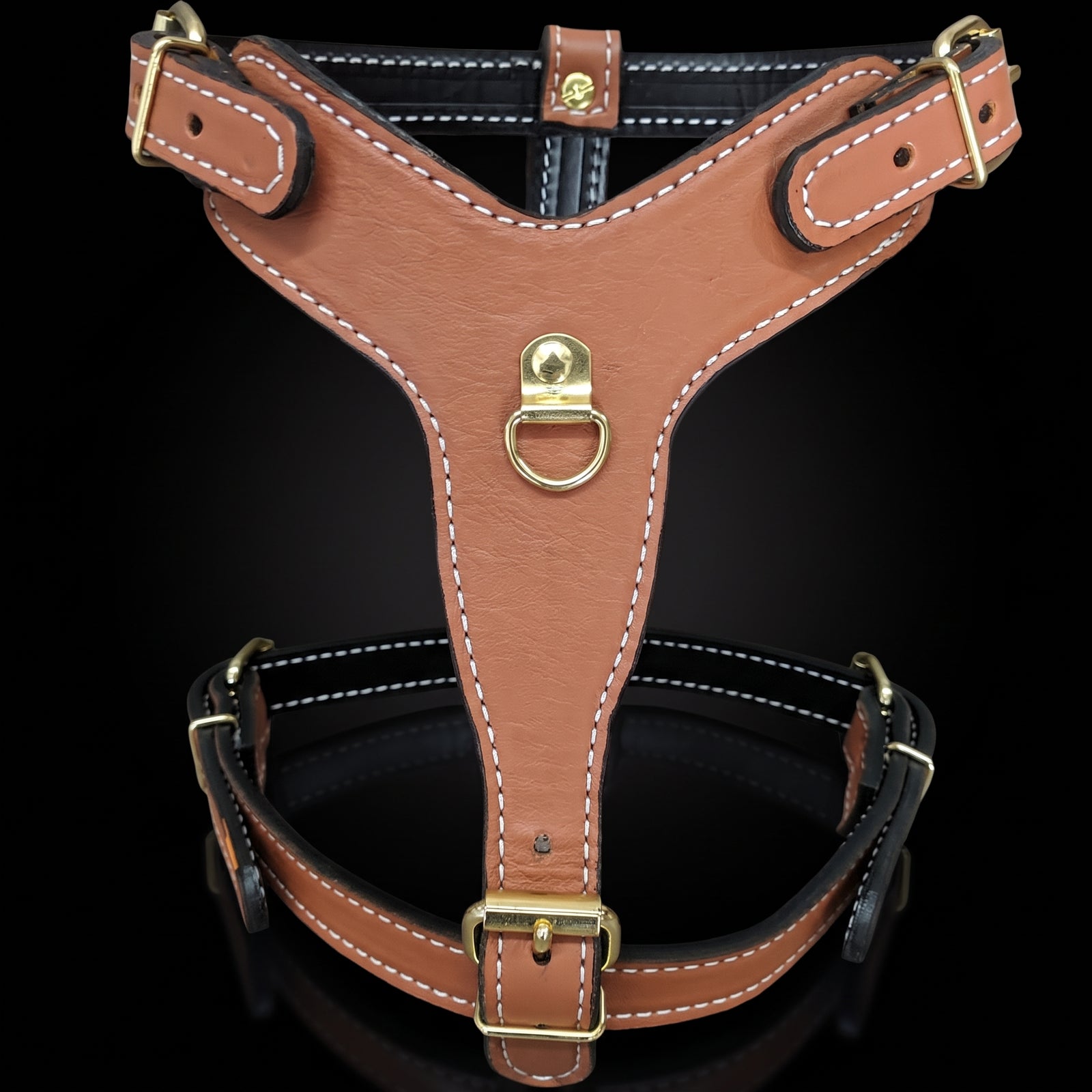 A tan leather dog harness with white contrast stitching and gold-tone metal hardware, shown against a solid black background.