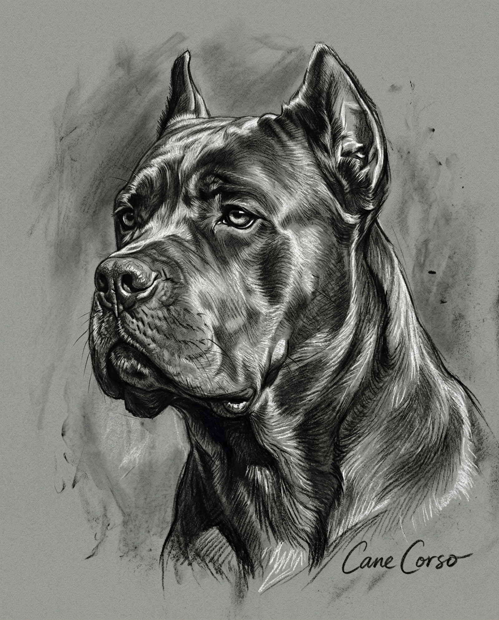 Custom Anatomical Charcoal Noir Dog Portrait | Digital Pet Artwork
