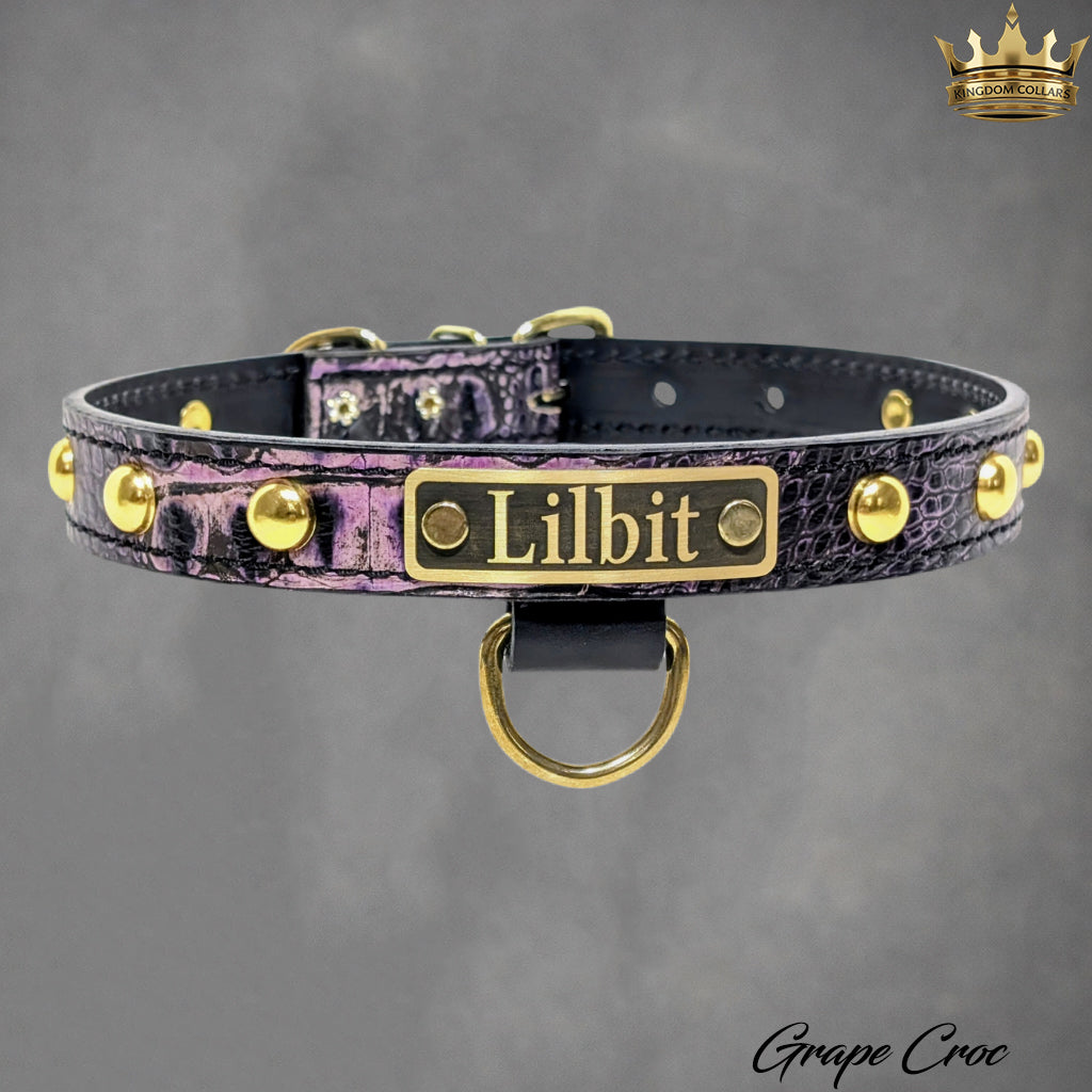 NU2 - Collar para perro de cuero tachonado de 1" de ancho con placa de identificación