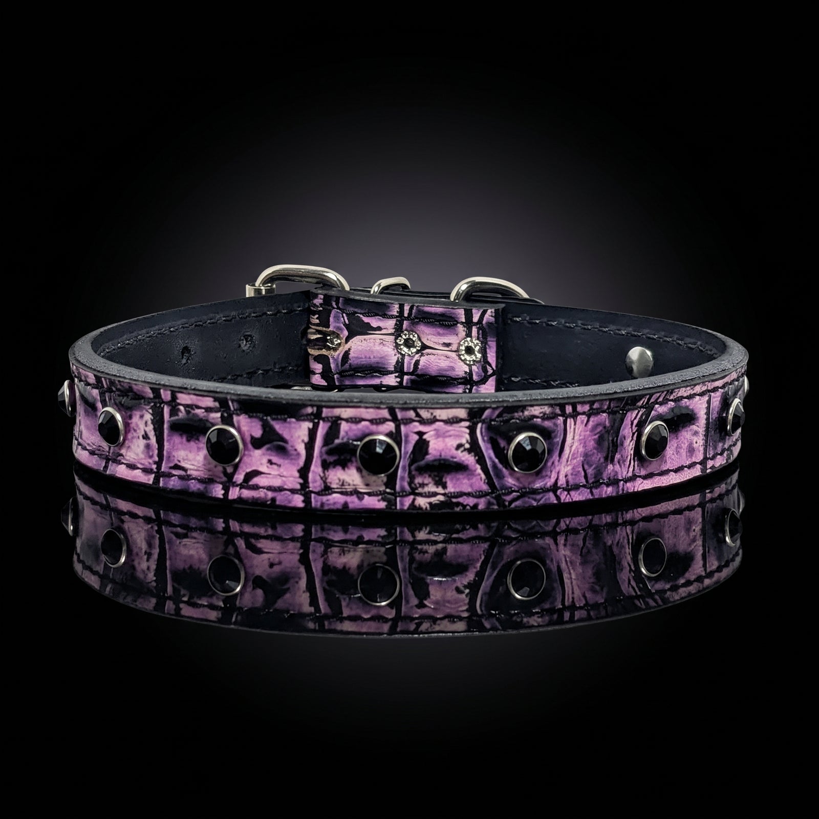 A purple and black crocodile-embossed leather dog collar with silver-tone metal studs and hardware, displayed on a reflective black surface against a dark background.