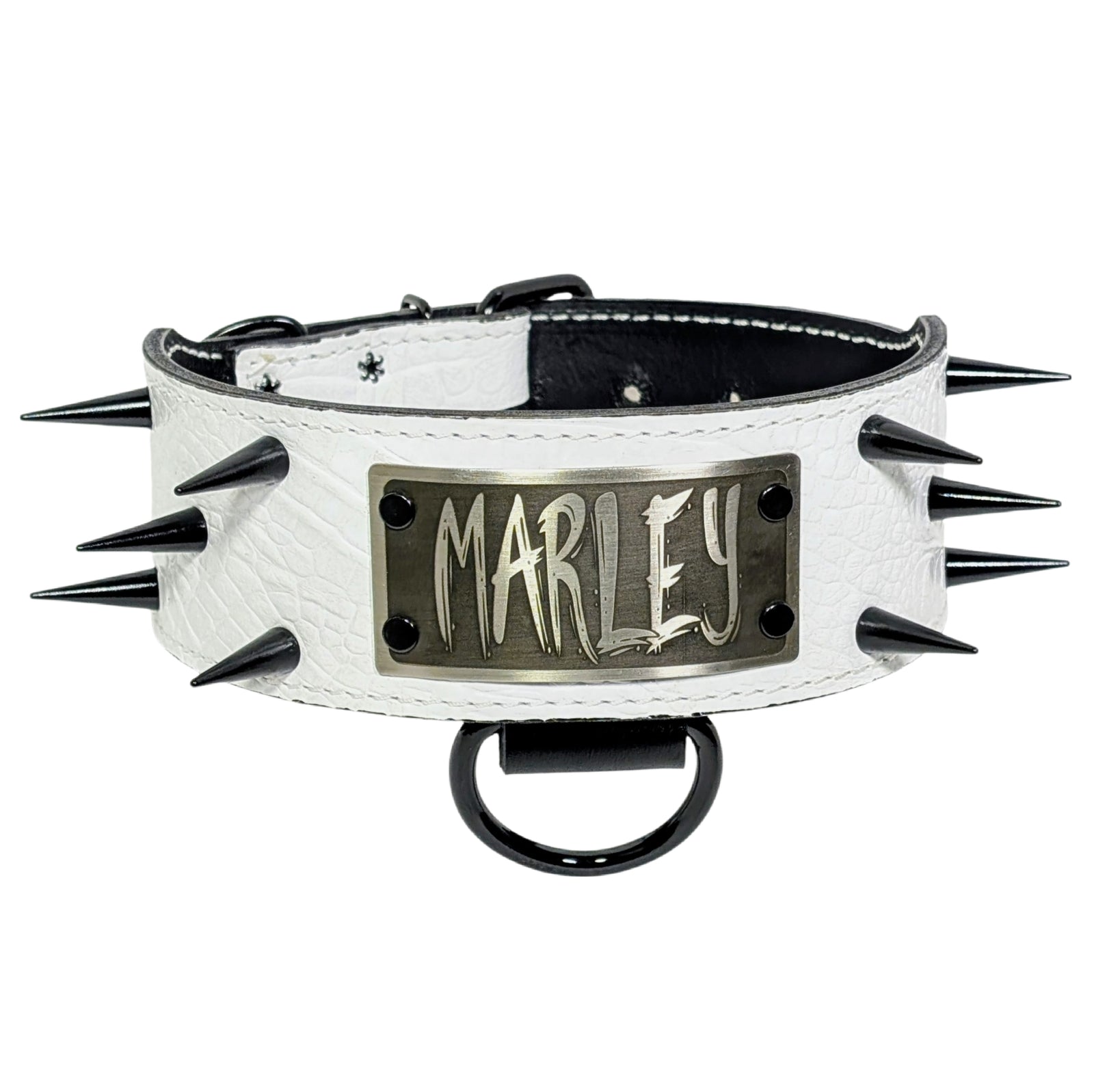 White leather dog collar with black spikes and a metallic plaque on a white background