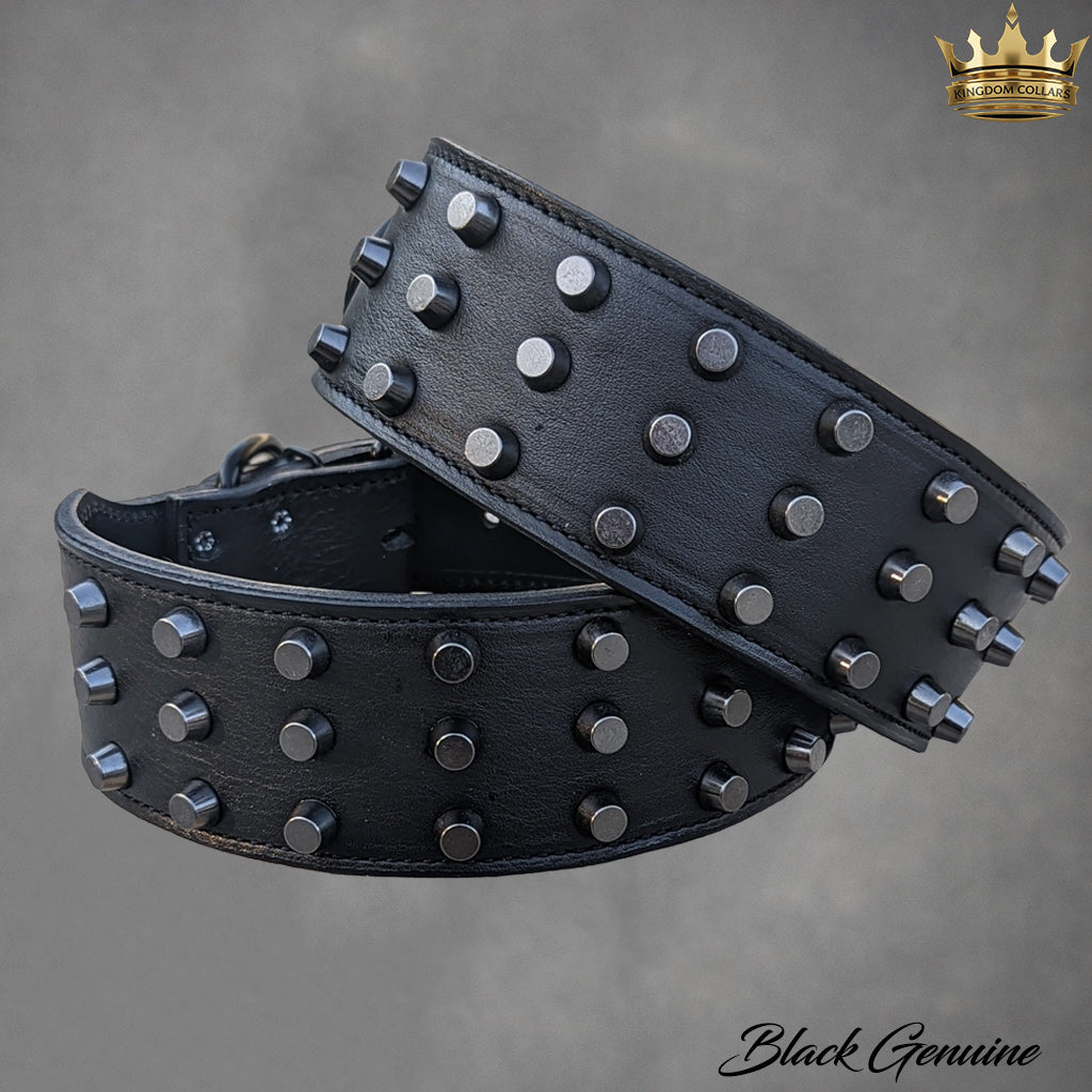 Black leather dog collar with studs on a gray background