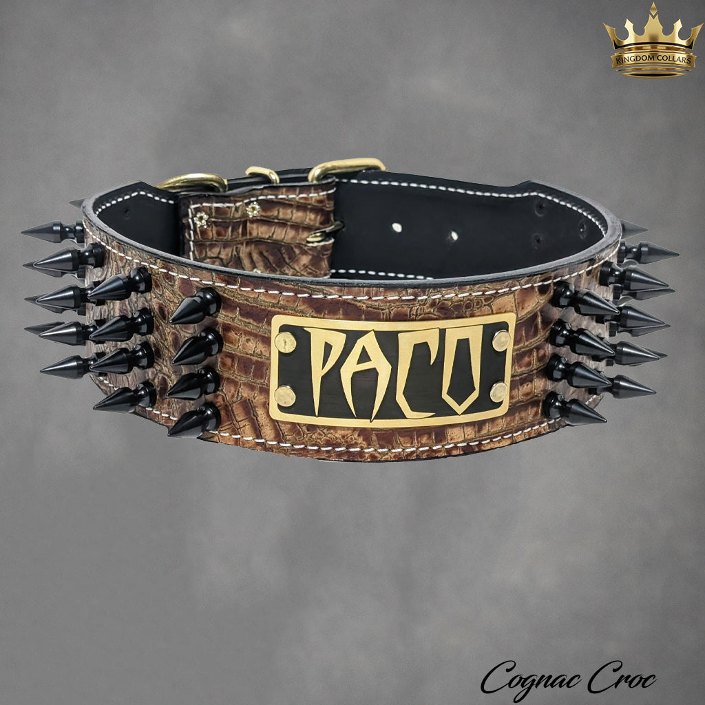 NJ10 - Collar para perro de cuero con pinchos de 2,5" de ancho y placa con nombre