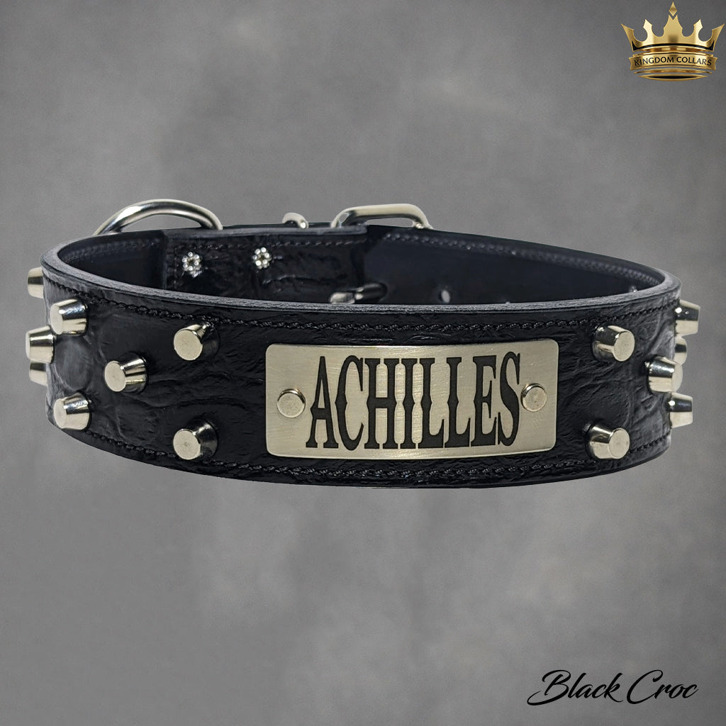 WN4 - Coleira personalizada de couro com tachinhas de 2"
