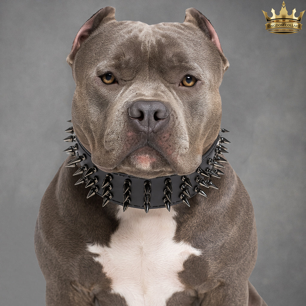 X43 - Collar de cuero con pinchos para perros de 3" de ancho