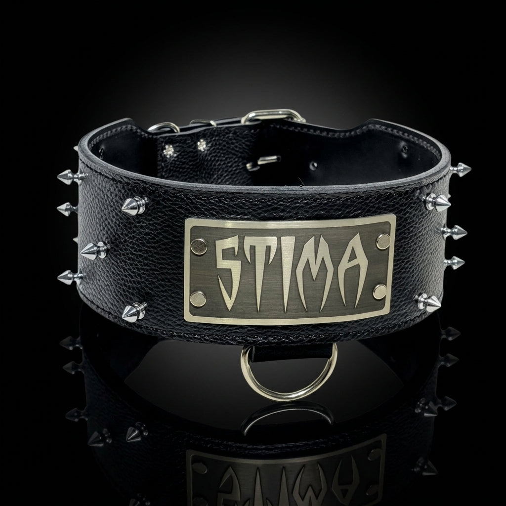 2.5" or 3" Wide Custom Name Plate Spiked Leather Dog Collar