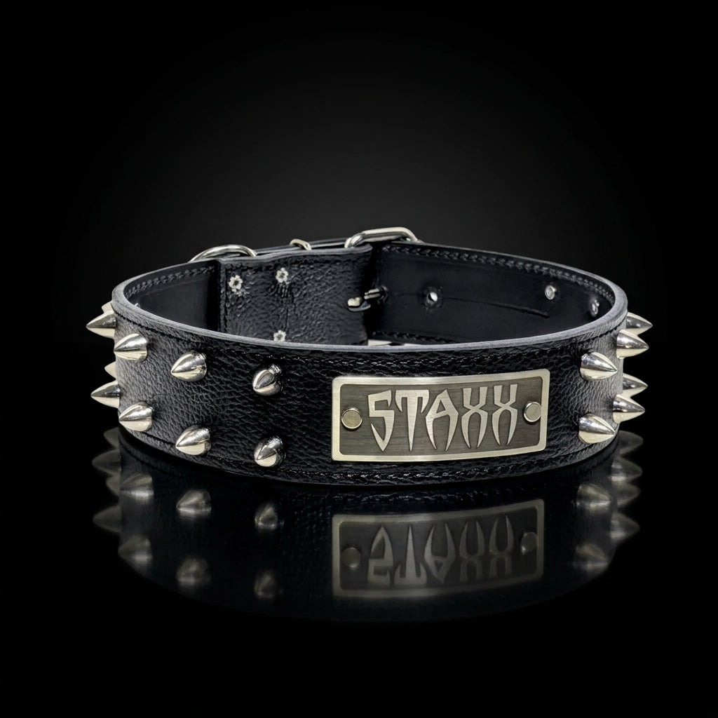A black leather collar with silver metal spikes and a rectangular silver plate engraved with the word 'STAXX', shown on a reflective black background.