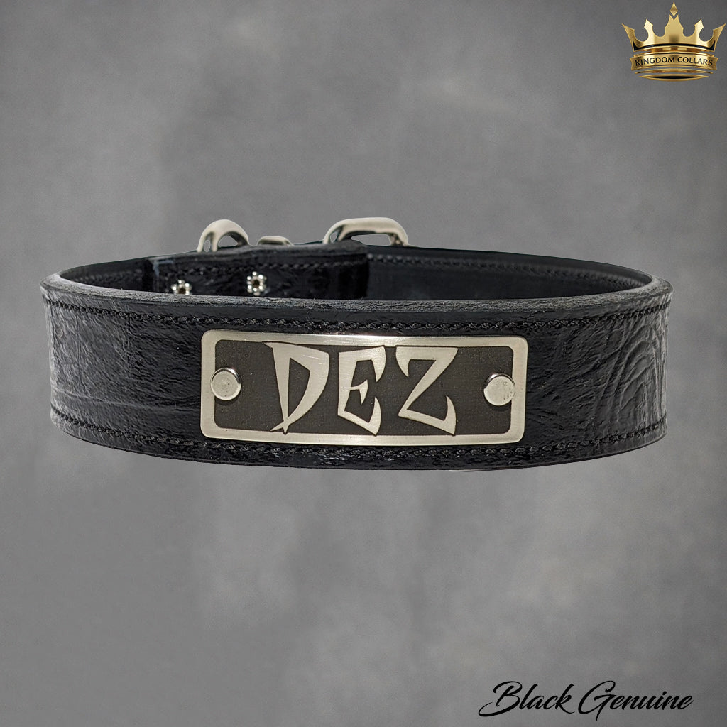 Close up of black croco Italian leather dog collar with engraved nameplate by Kingdom Collars
