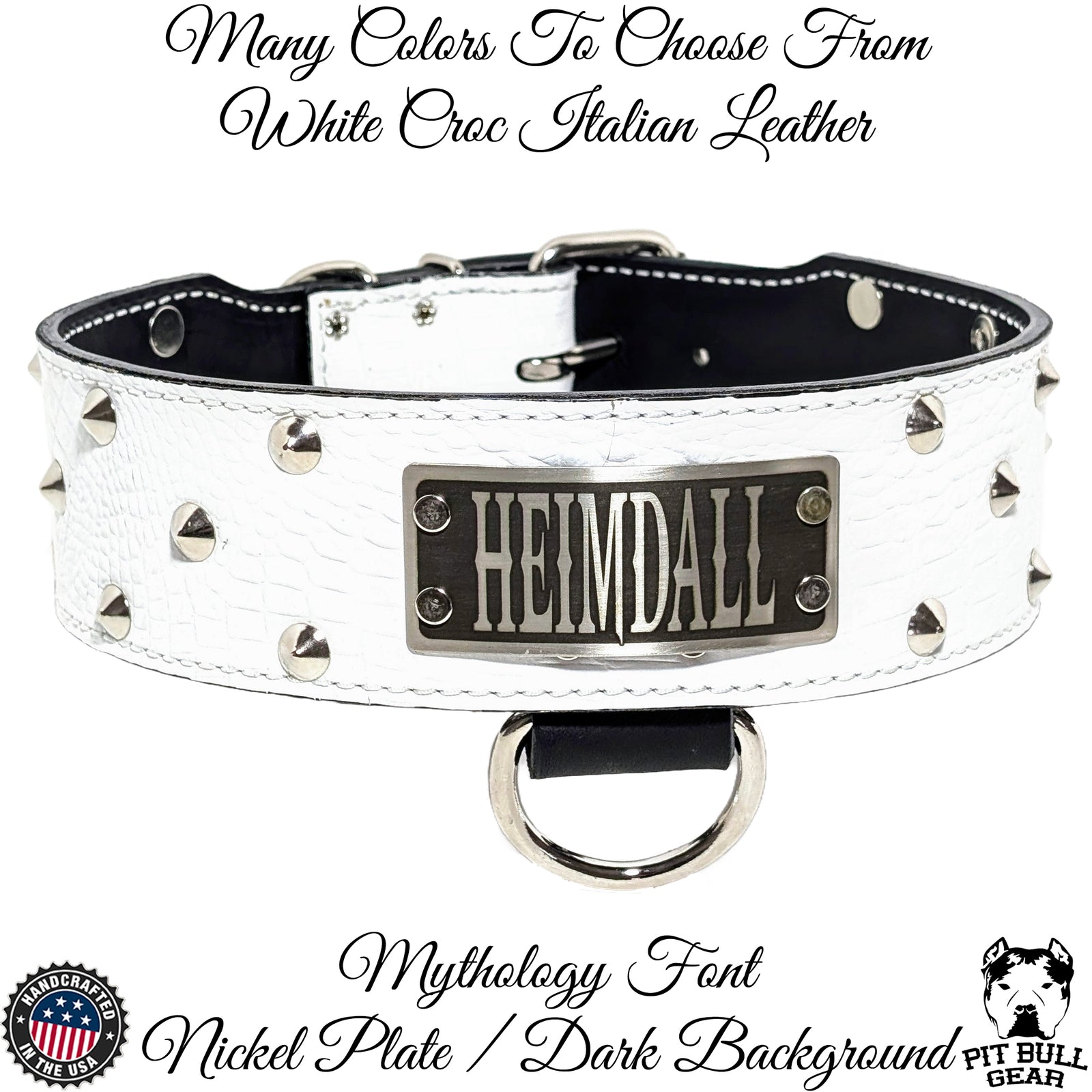 NJ4 - 2 1/2" coleira cravejada com placa de nome