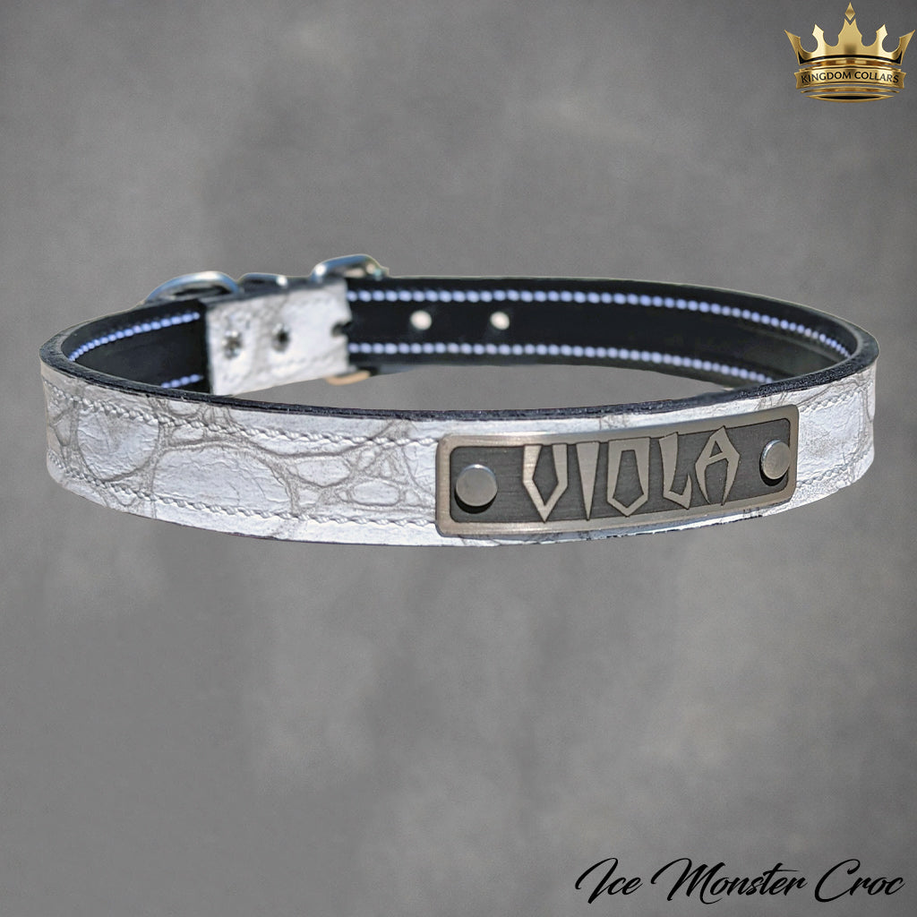 Collar de cuero para perro con placa de identificación personalizada Collar de 1" hecho a medida - NU1
