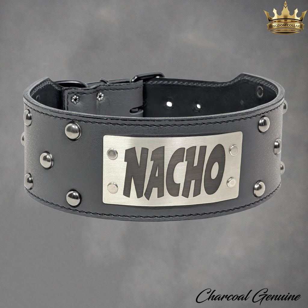 NX3 - Coleira de cachorro de couro cravejada com placa de identificação de 3"