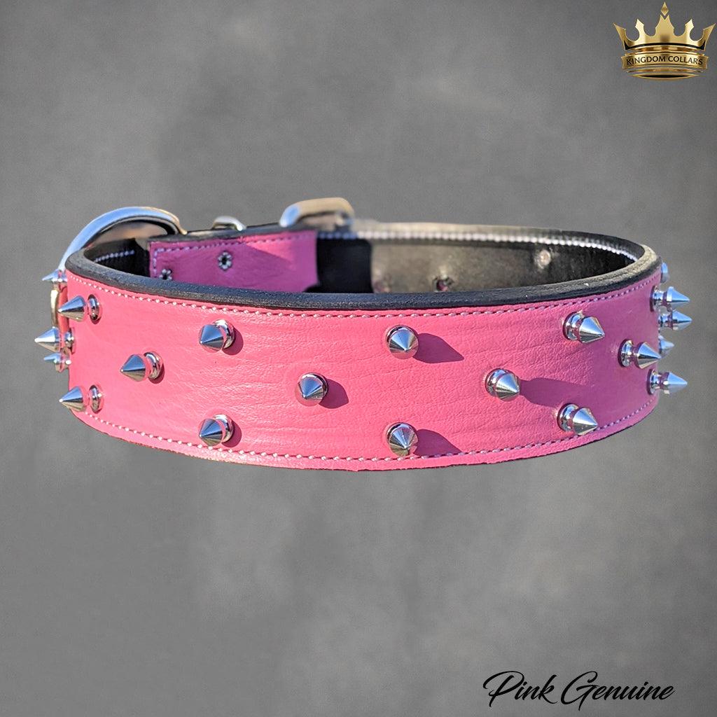 W36 - Collar de cuero con pinchos para perros de 2"