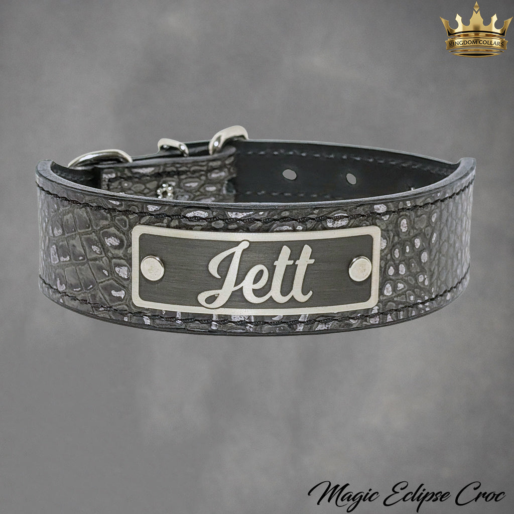 TN7 - Collar de cuero cónico para perros de 1,5" de ancho con placa de identificación