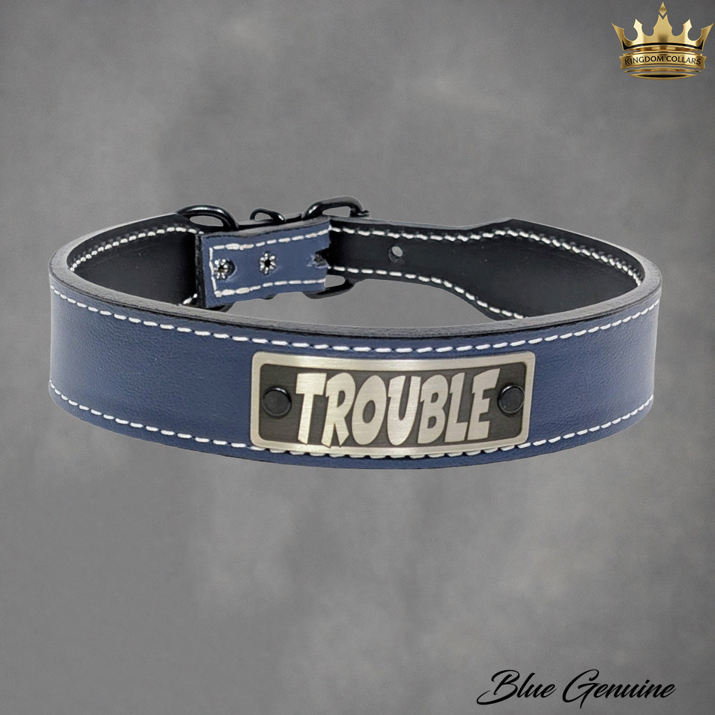 TN7 - Collar de cuero cónico para perros de 1,5" de ancho con placa de identificación