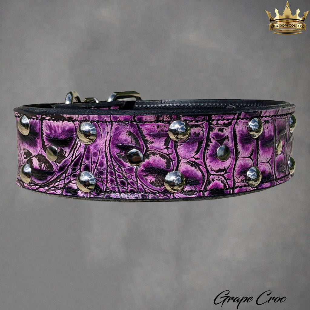 W30 - 2" coleira de couro com tachas e rebites