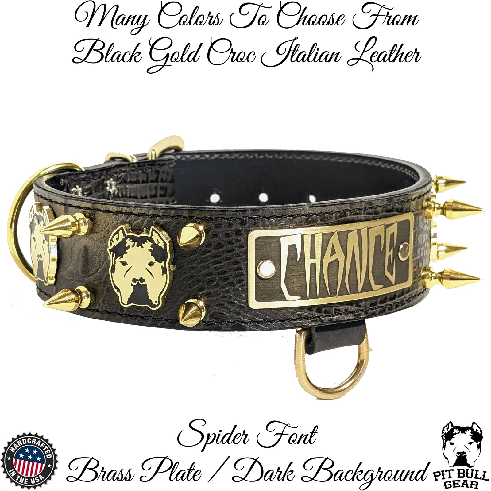 W45 - Coleira personalizada para cães de couro pontiagudo Bully de 2"