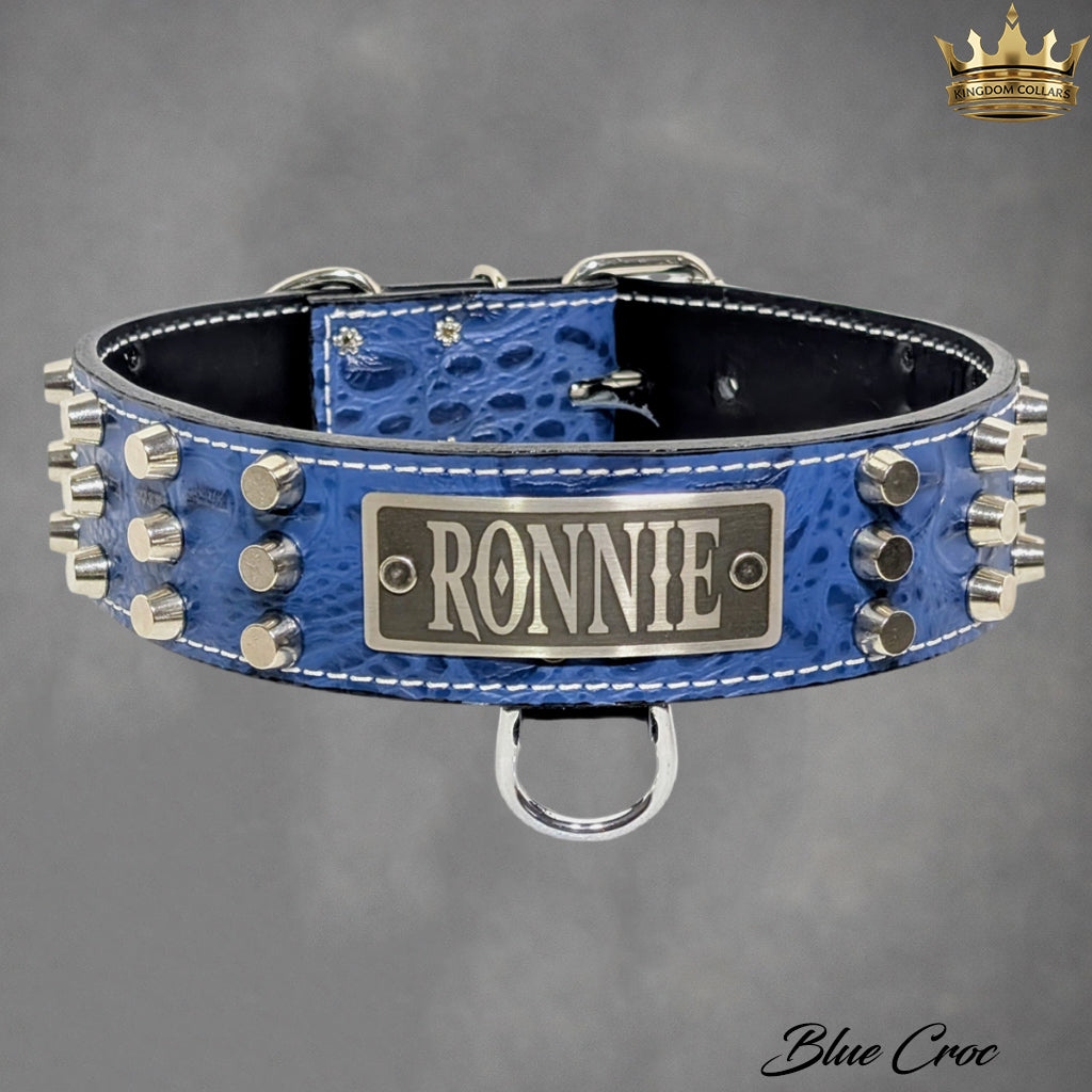 W48 - Coleira de cachorro de couro cravejada com placa de nome personalizada de 2 pol.