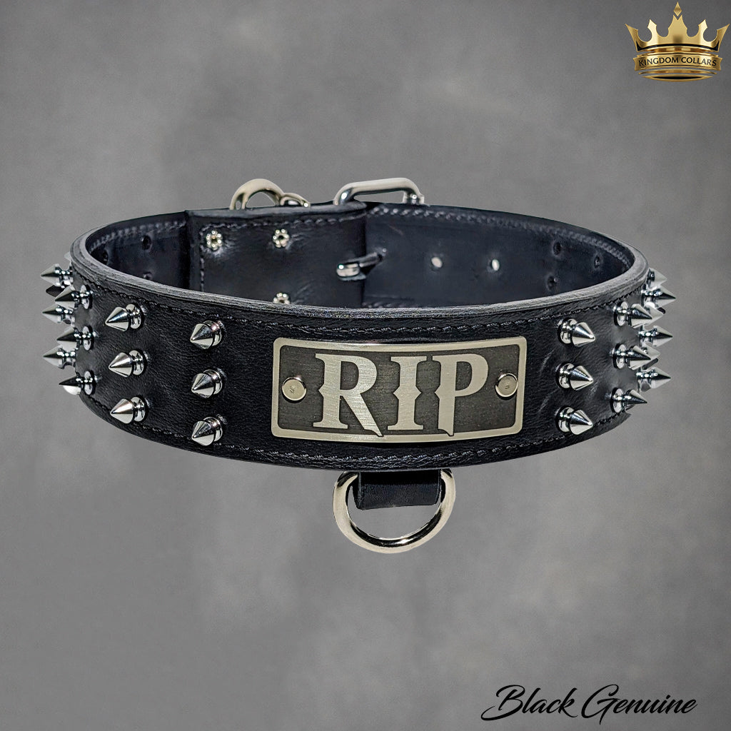 W52 - Coleira de cachorro de couro com placa de identificação personalizada de 2"
