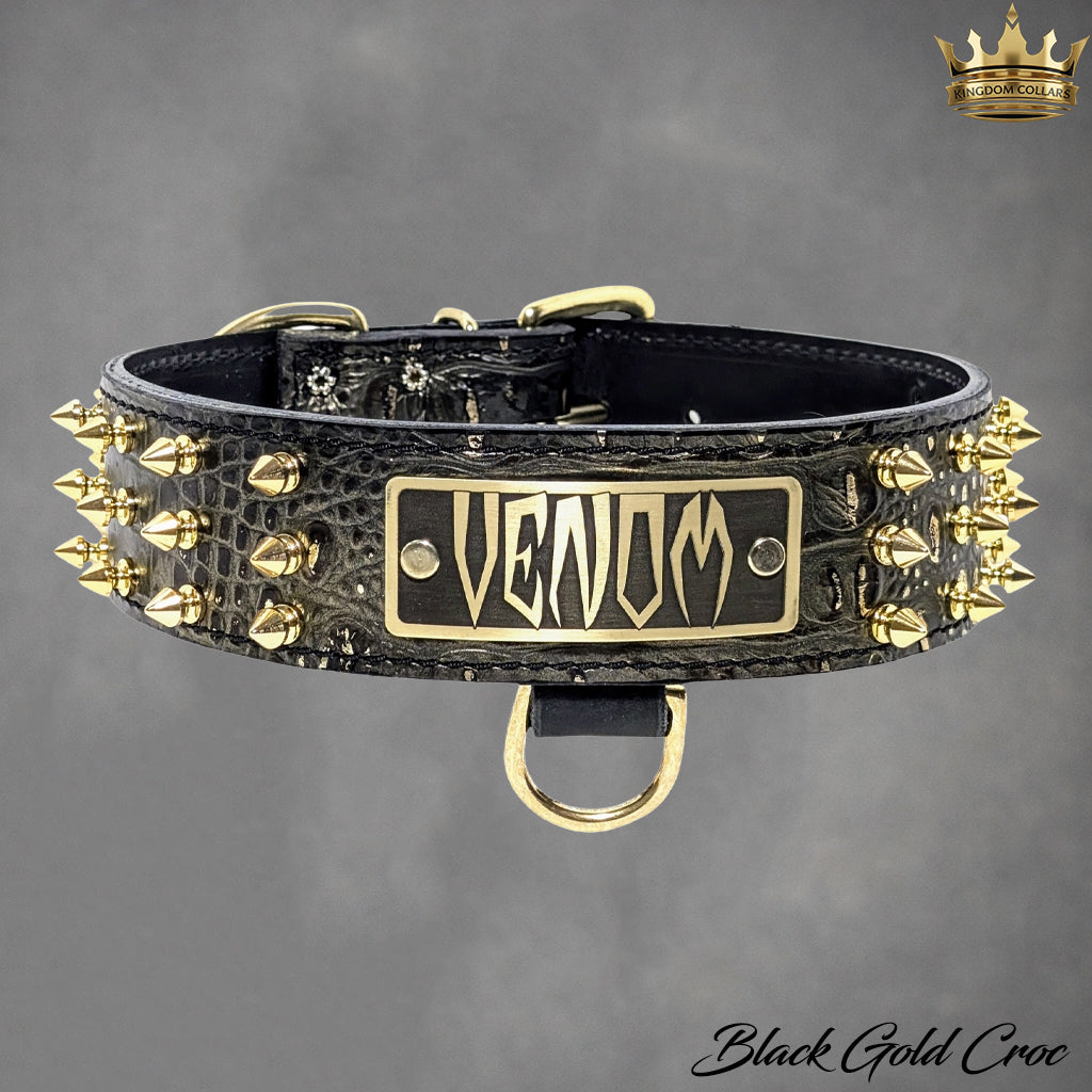 W52 - Coleira de cachorro de couro com placa de identificação personalizada de 2"