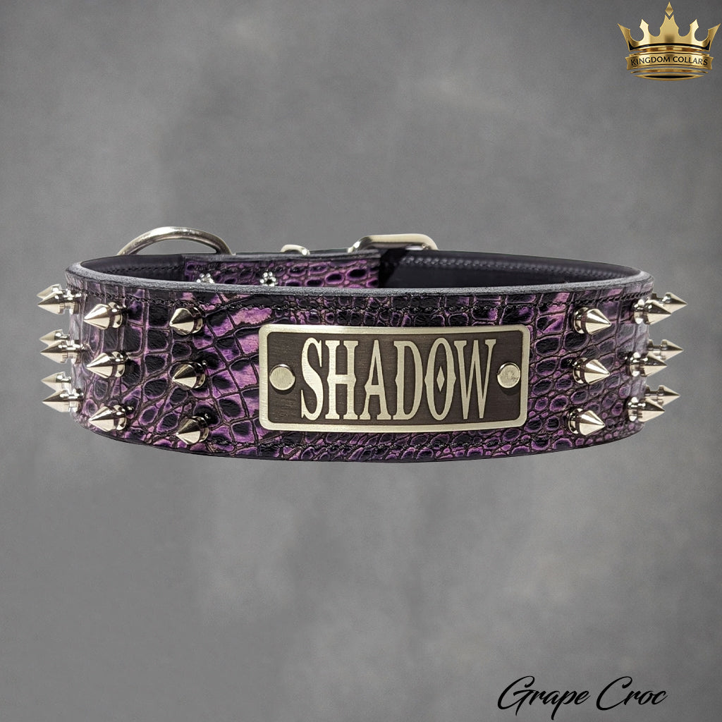 W52 - Coleira de cachorro de couro com placa de identificação personalizada de 2"