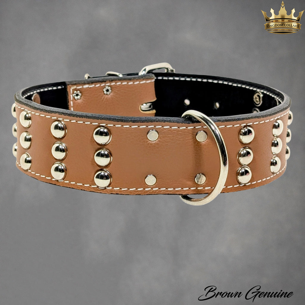 W55 - Collar para perros de cuero tachonado de 2" de ancho