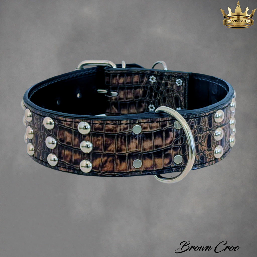W55 - Collar para perros de cuero tachonado de 2" de ancho