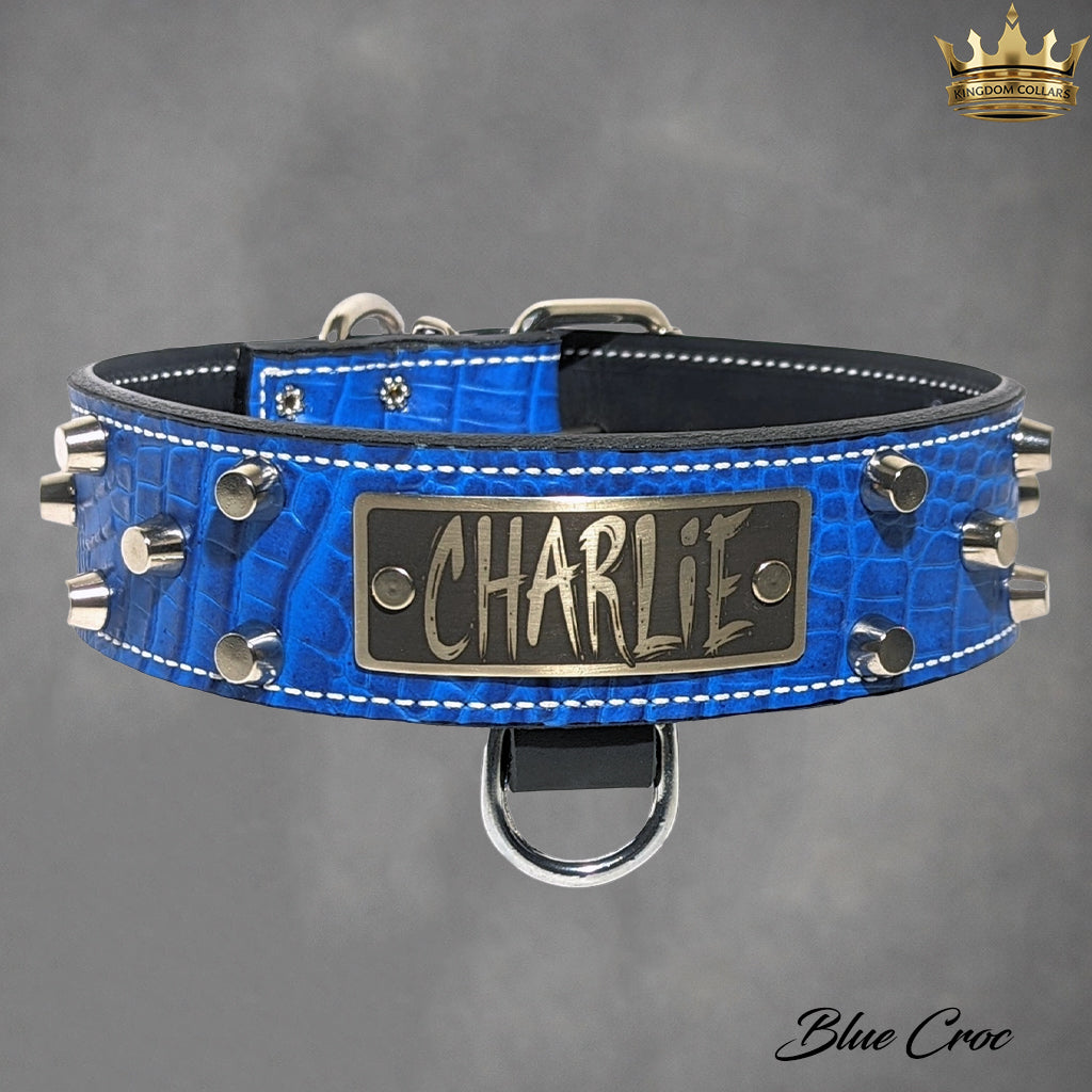 WN4 - Coleira personalizada de couro com tachinhas de 2"