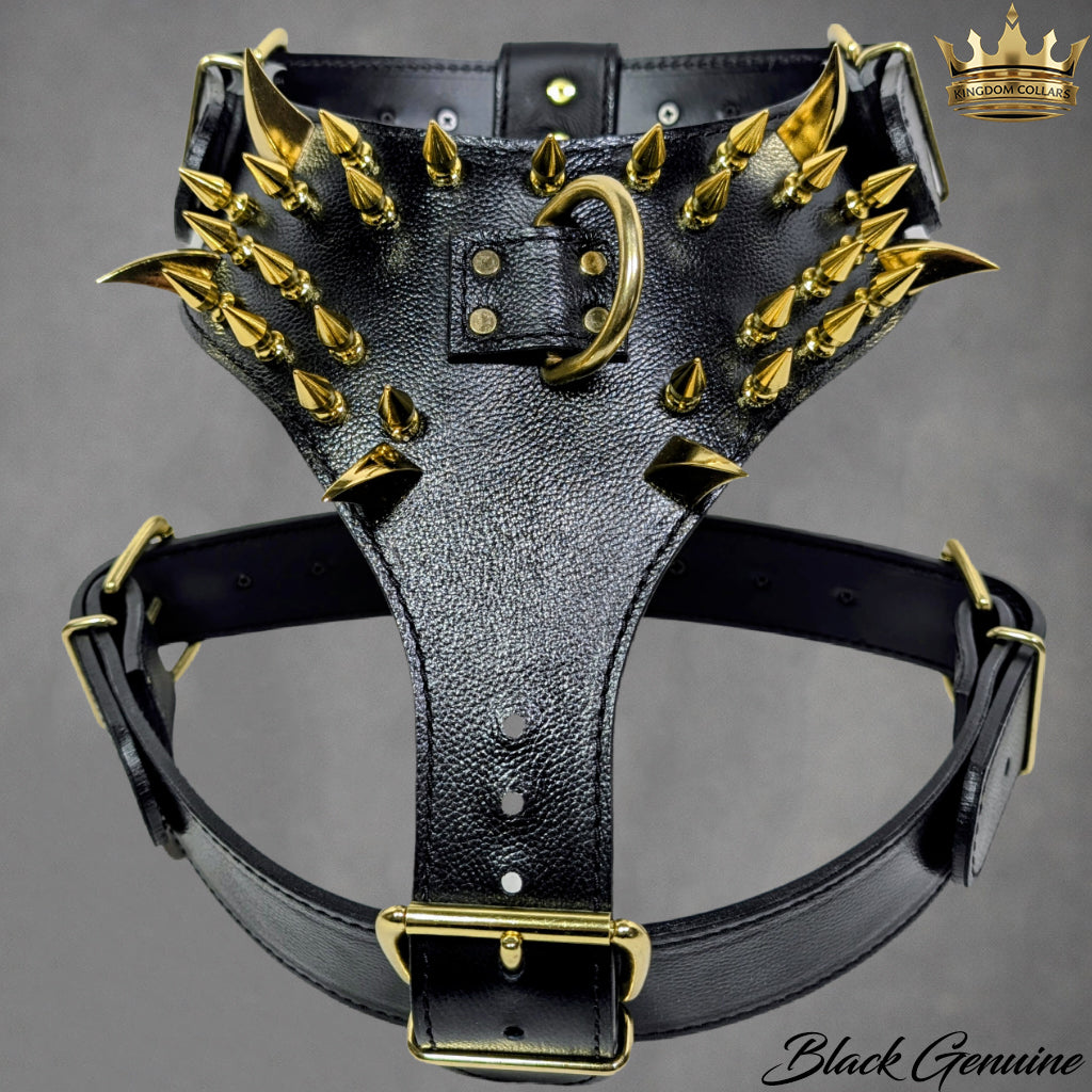 Arnés de cuero con pinchos para perros, resistente, personalizado, para perros grandes - Y26