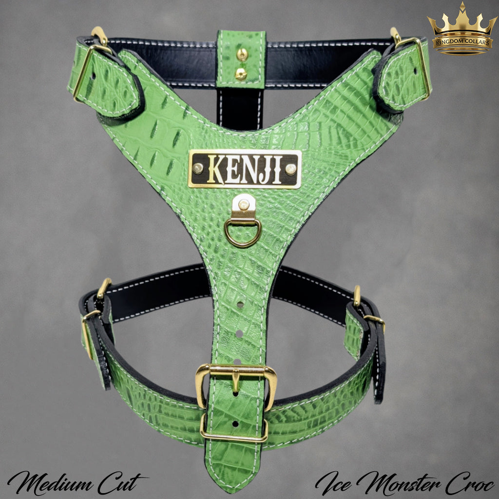 NH4 – Personalized Italian Leather Dog Harness | Custom Engraved Name Plate
