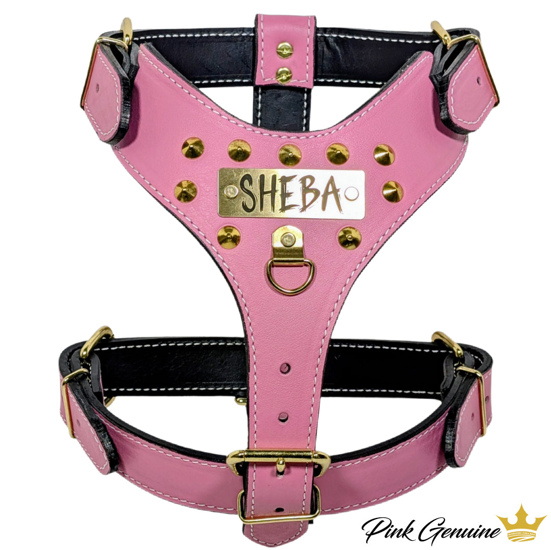 NH10 - Custom Made Italian Leather Personalized Harness with Cone Studs