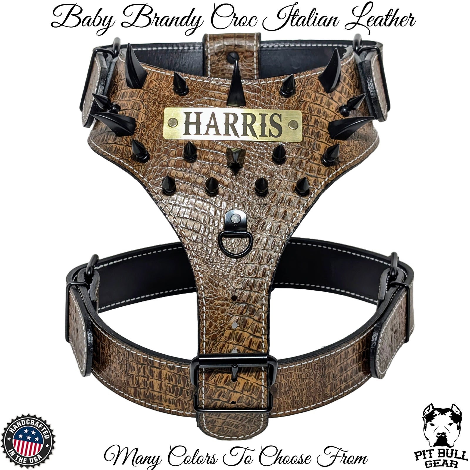 Y04 - Custom Leather Spiked Harness with Dragon Claw & 1" Tree Spikes – Personalized Name Plate