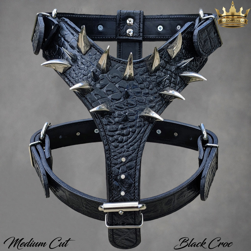 Black leather harness with spikes on a gray background