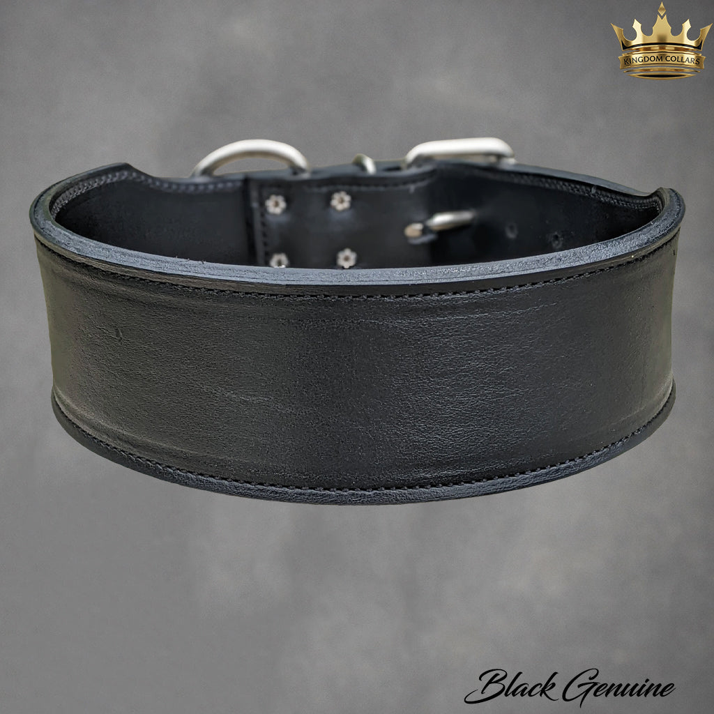 J25 - Collar de cuero para perros de 2,5" de ancho