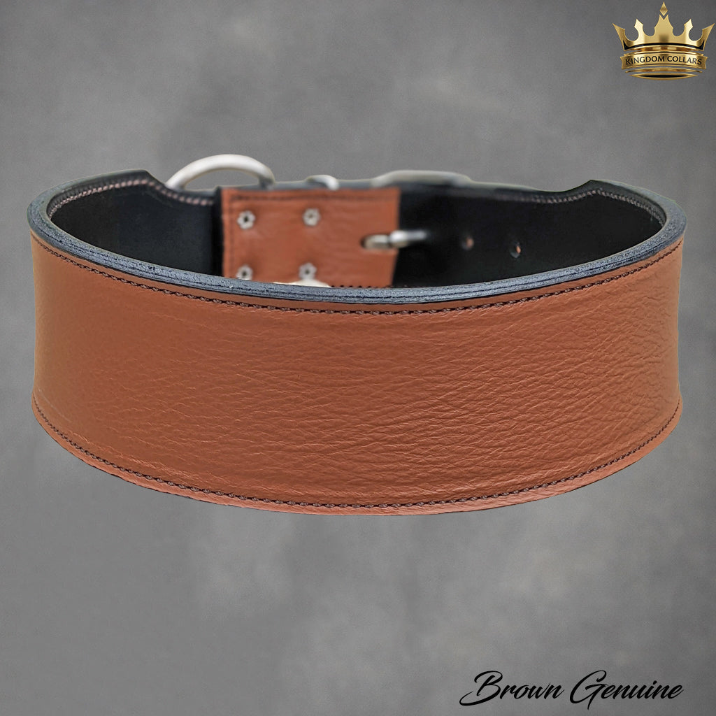 J25 - Collar de cuero para perros de 2,5" de ancho