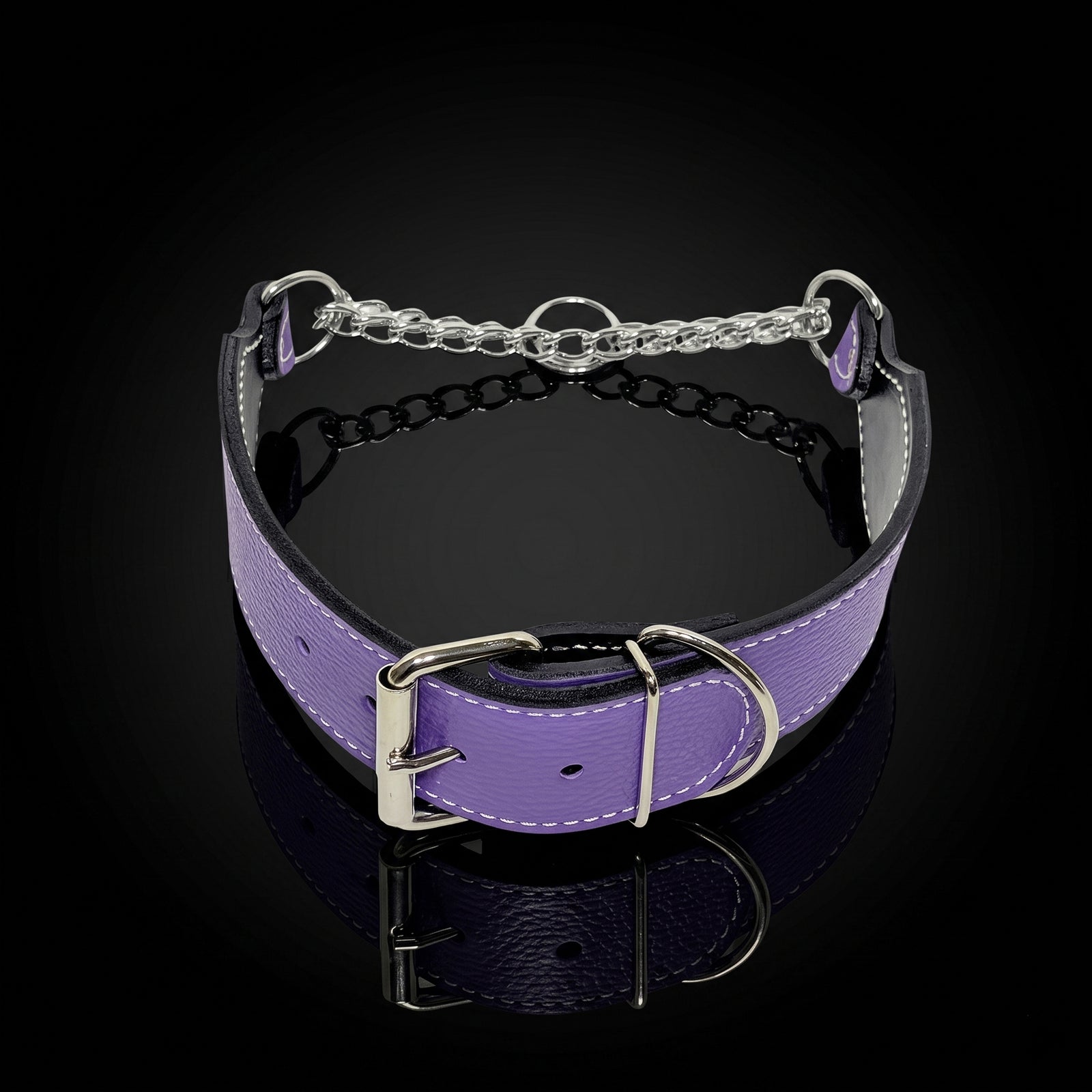 2" Wide Leather Martingale Buckle Training Dog Collar (LM9)
