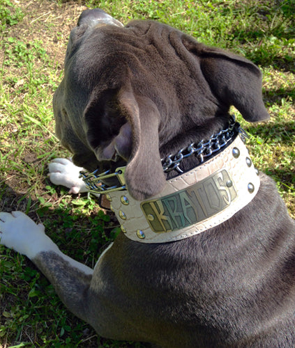 NX3 - Coleira de cachorro de couro cravejada com placa de identificação de 3"