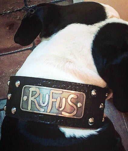 NX3 - Coleira de cachorro de couro cravejada com placa de identificação de 3"