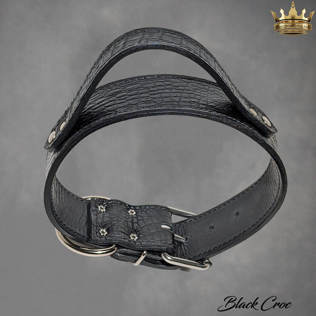 2" Wide Leather Agitation Dog Collar with Handle (AGT1)