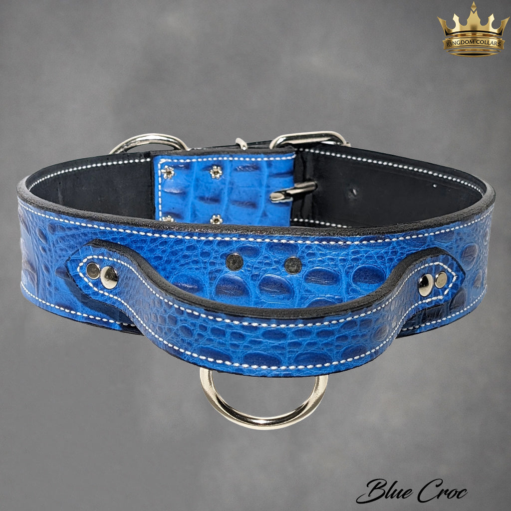 2" Wide Leather Agitation Dog Collar with Handle (AGT1)