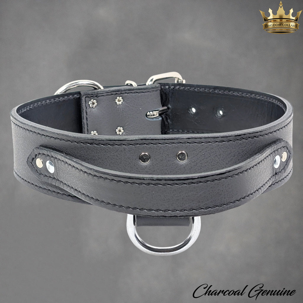 2" Wide Leather Agitation Dog Collar with Handle (AGT1)
