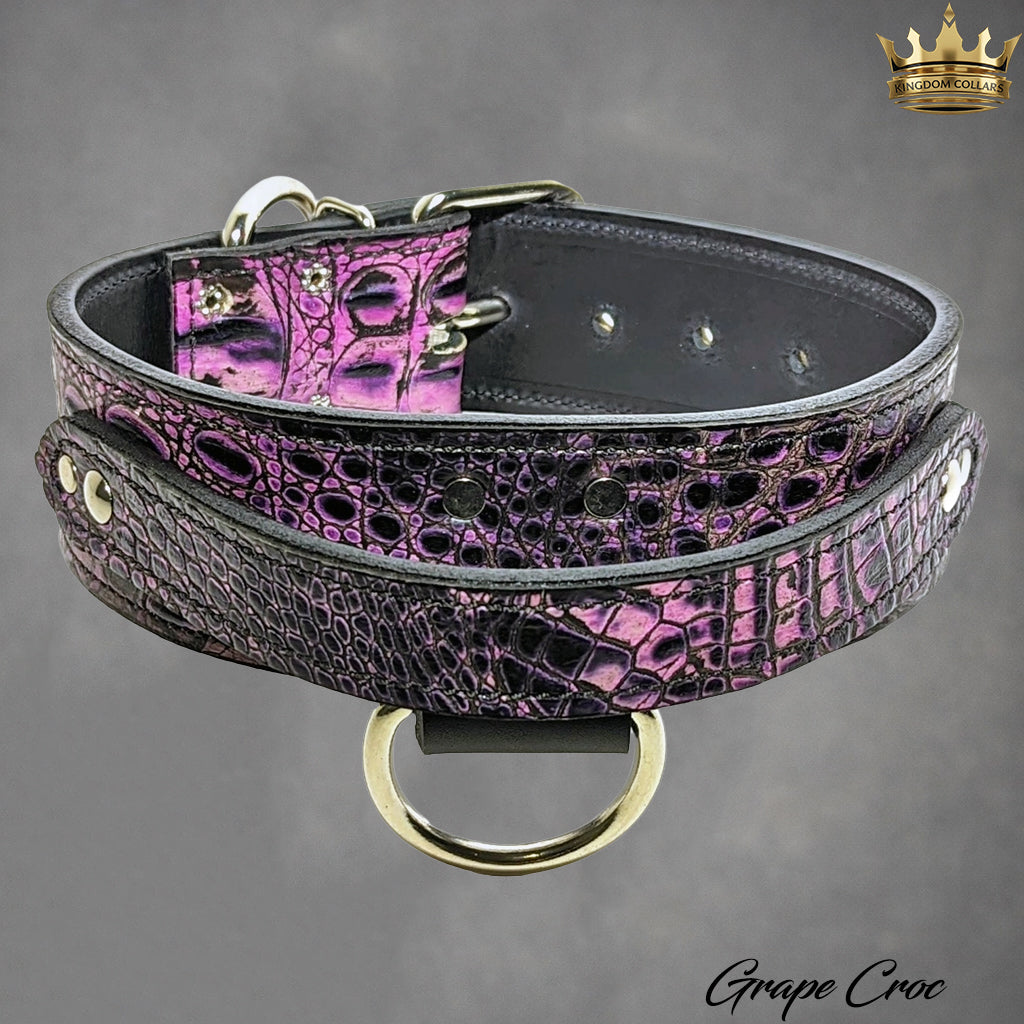 2" Wide Leather Agitation Dog Collar with Handle (AGT1)