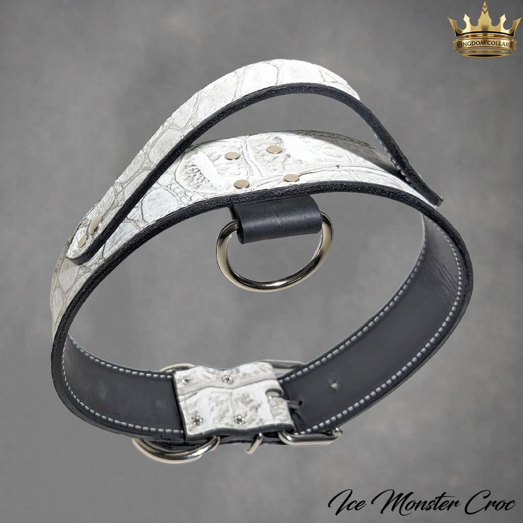 2" Wide Leather Agitation Dog Collar with Handle (AGT1)