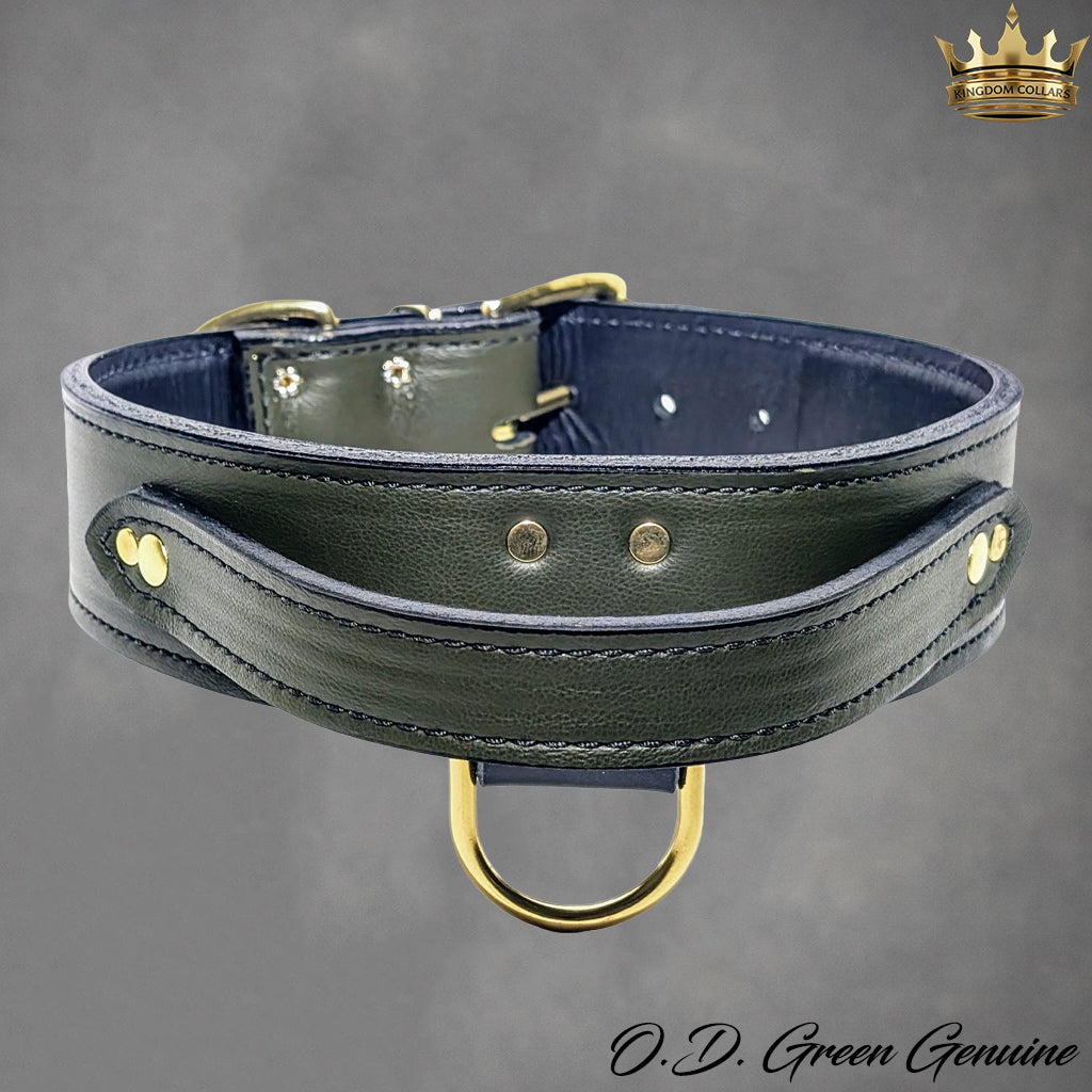 2" Wide Leather Agitation Dog Collar with Handle (AGT1)