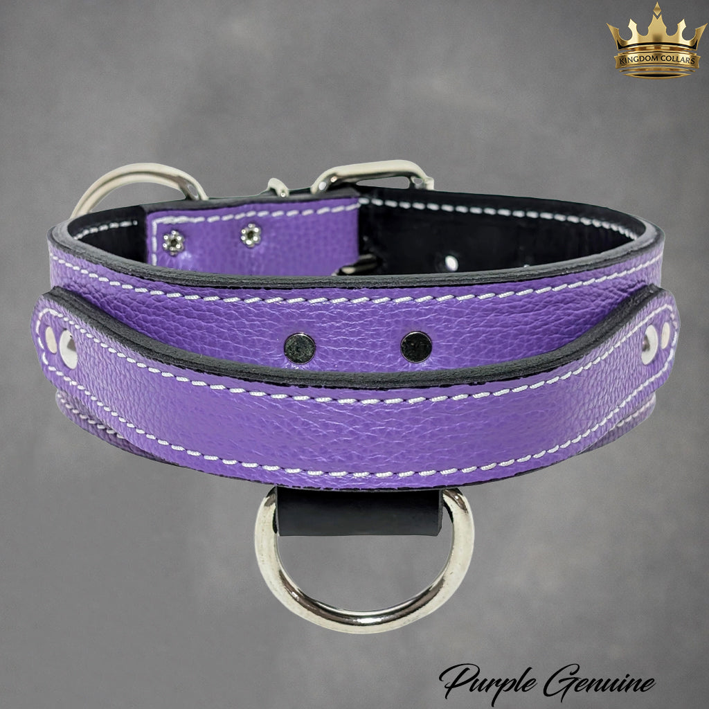 2" Wide Leather Agitation Dog Collar with Handle (AGT1)