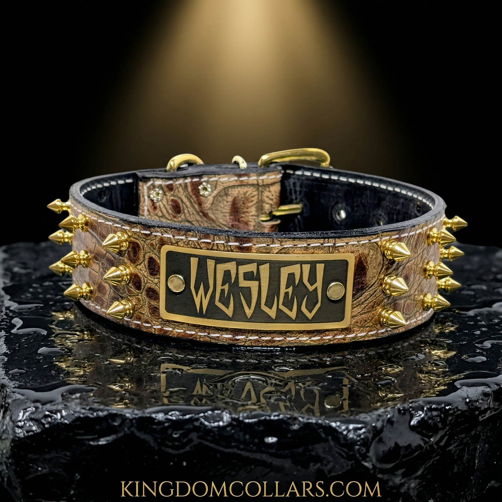 Leather dog collar with gold spikes and a nameplate on a reflective surface.