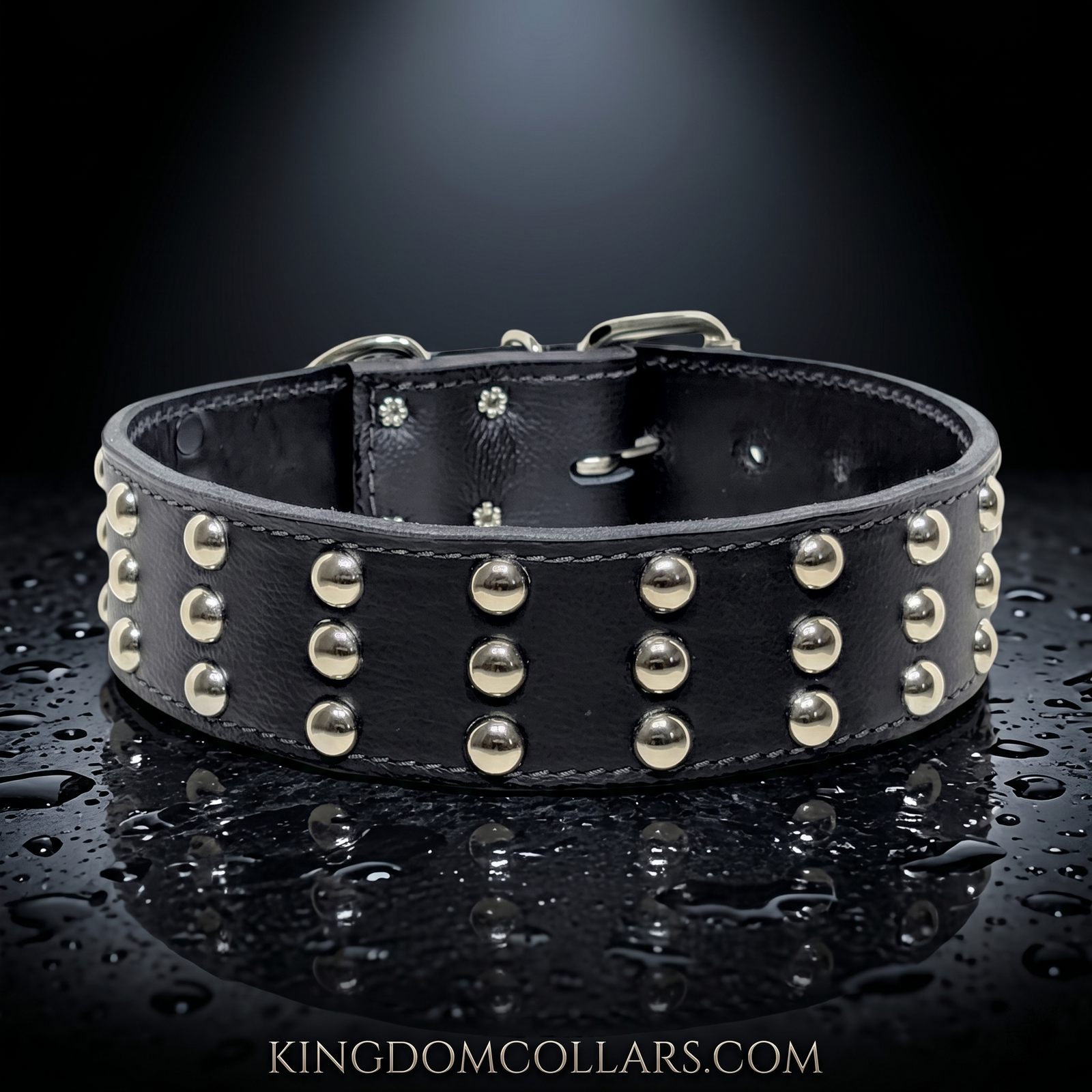 W55 - Collar para perros de cuero tachonado de 2" de ancho
